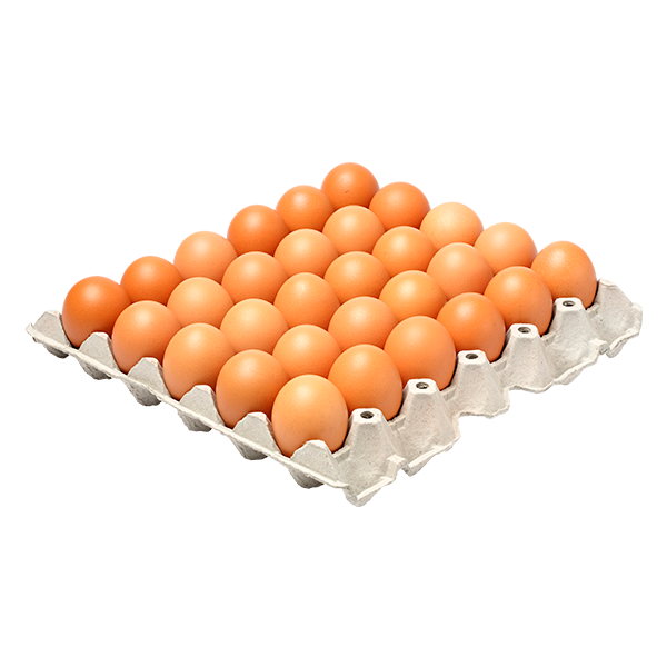 Resultado de imagen para huevos